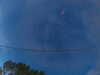 20241005064023-G0018203.JPG