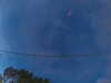 20241005064036-G0018205.JPG