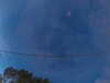 20241005064049-G0018207.JPG