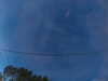 20241005064122-G0018212.JPG
