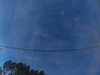 20241005064249-G0018226.JPG