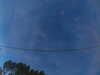 20241005064255-G0018227.JPG