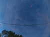 20241005064325-G0018232.JPG