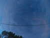 20241005064509-G0018250.JPG