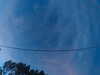 20241005064954-G0018301.JPG