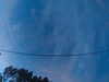 20241005065110-G0018315.JPG