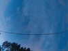 20241005065203-G0018325.JPG
