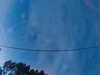 20241005065254-G0018335.JPG