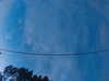 20241005065410-G0018350.JPG
