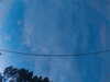 20241005065425-G0018353.JPG