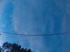20241005065514-G0018363.JPG