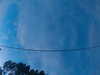 20241005065519-G0018364.JPG