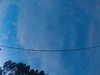 20241005065524-G0018365.JPG