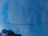20241005065528-G0018366.JPG