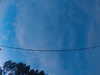 20241005065538-G0018368.JPG