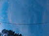 20241005065543-G0018369.JPG
