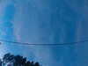 20241005065548-G0018370.JPG