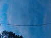 20241005065607-G0018374.JPG