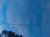 20241005065616-G0018376.JPG