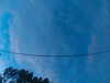 20241005065727-G0018392.JPG