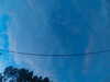 20241005065803-G0018400.JPG