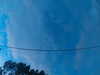 20241005065816-G0018403.JPG