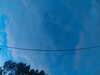 20241005065825-G0018405.JPG