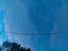 20241005065829-G0018406.JPG