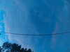 20241005065833-G0018407.JPG