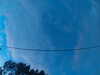 20241005065838-G0018408.JPG