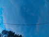 20241005065842-G0018409.JPG