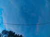 20241005065851-G0018411.JPG