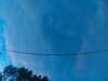 20241005065909-G0018415.JPG