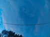 20241005065913-G0018416.JPG