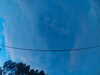 20241005065917-G0018417.JPG