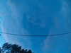 20241005070038-G0018436.JPG