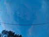 20241005070116-G0018445.JPG