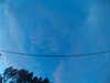 20241005070258-G0018470.JPG