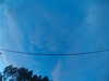 20241005070311-G0018473.JPG