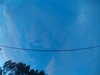 20241005070331-G0018478.JPG