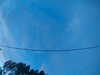 20241005070508-G0018502.JPG