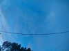 20241005070516-G0018504.JPG