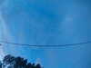 20241005070524-G0018506.JPG