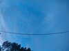 20241005070548-G0018512.JPG