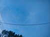 20241005070715-G0018534.JPG