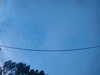 20241005070855-G0018559.JPG