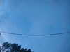 20241005070859-G0018560.JPG