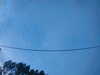 20241005070903-G0018561.JPG
