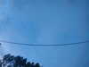20241005070907-G0018562.JPG
