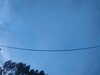 20241005071006-G0018577.JPG